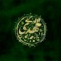 یا اباصالح المهدی ادرکنی