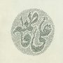 علی فاطمه